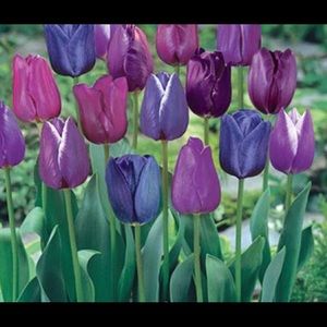 Meet your Posher, Jaimie